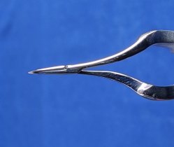Pinza Akahoshi